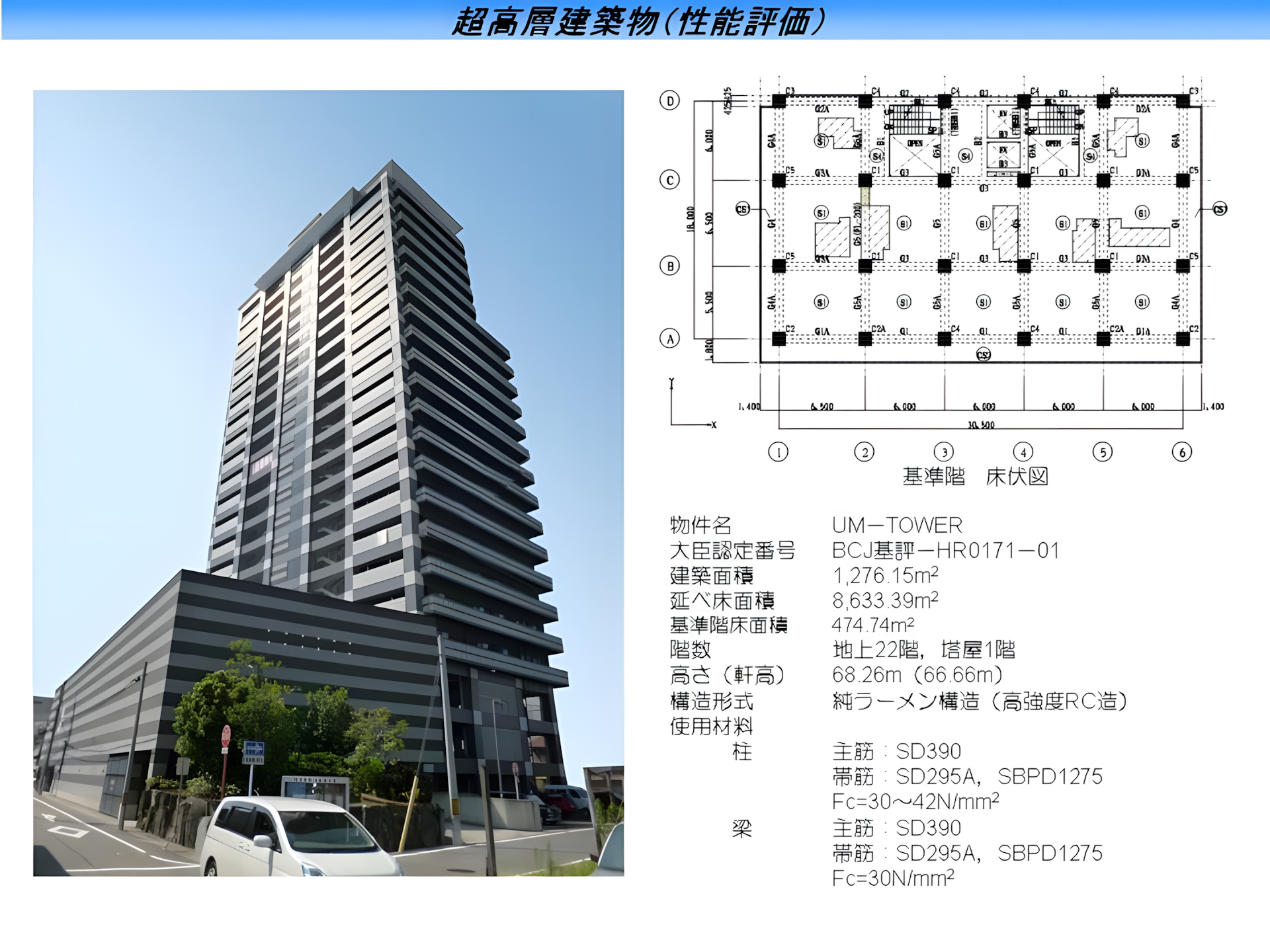 単一表示画像